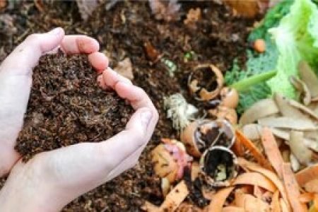 Compostagem Compostagem