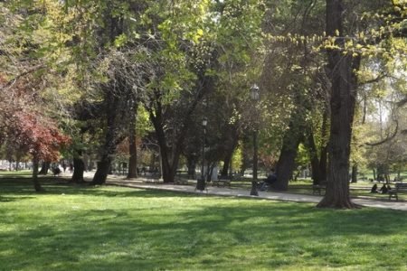 áreas verdes públicas áreas verdes públicas